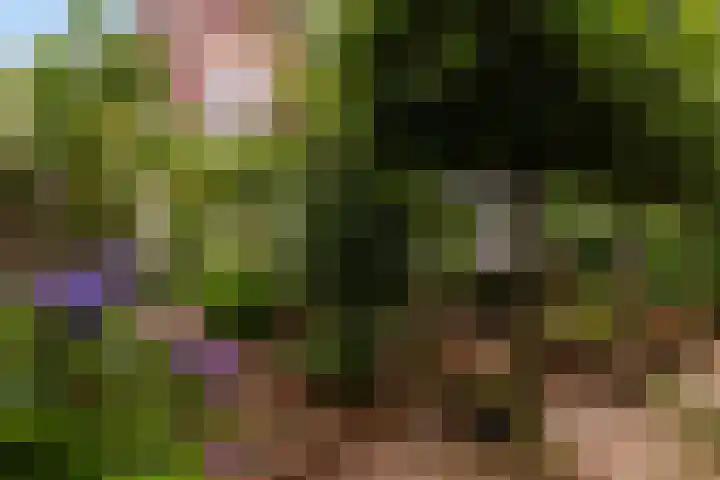 Koninginnelaan 9 Apeldoorn thumbnail 43