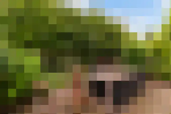 Koninginnelaan 9 Apeldoorn thumbnail 45
