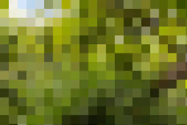Koninginnelaan 9 Apeldoorn thumbnail 46