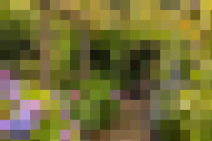 Koninginnelaan 9 Apeldoorn thumbnail 47