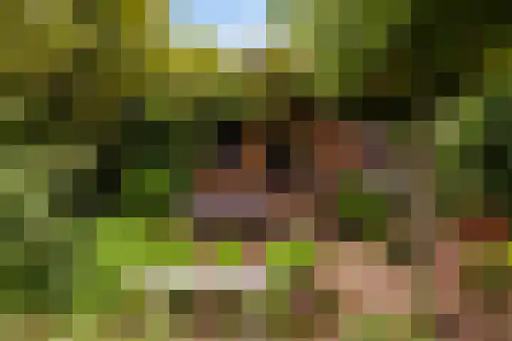 Koninginnelaan 9 Apeldoorn thumbnail 49