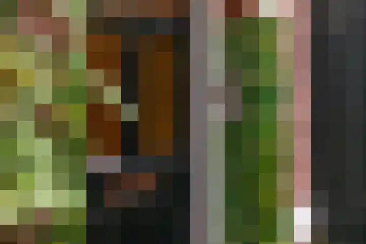 Koninginnelaan 9 Apeldoorn thumbnail 5