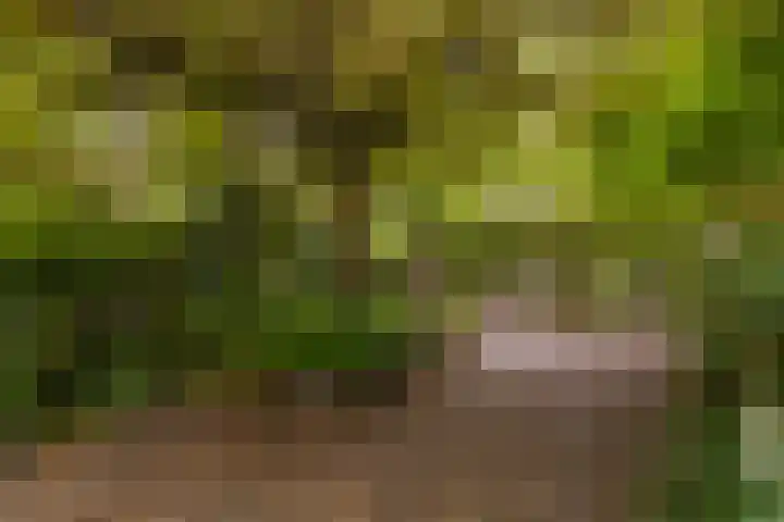 Koninginnelaan 9 Apeldoorn thumbnail 50