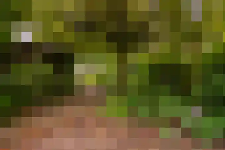 Koninginnelaan 9 Apeldoorn thumbnail 51