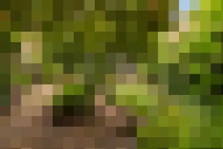 Koninginnelaan 9 Apeldoorn thumbnail 53