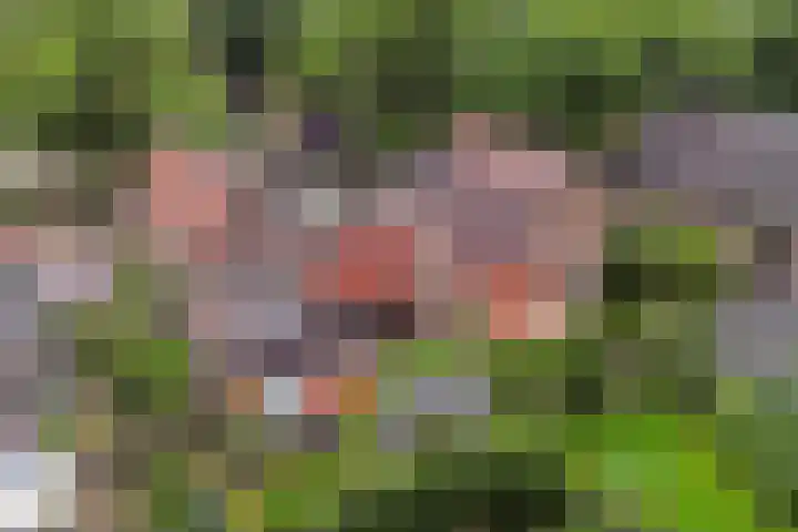 Koninginnelaan 9 Apeldoorn thumbnail 54