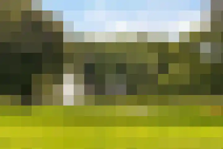 Koninginnelaan 9 Apeldoorn thumbnail 59