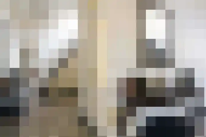 Koninginnelaan 9 Apeldoorn thumbnail 6