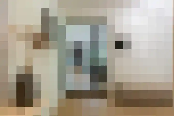 Koninginnelaan 9 Ermelo thumbnail 14