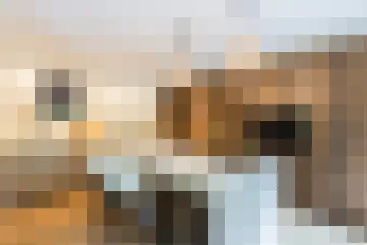 Koninginnelaan 9 Ermelo thumbnail 24