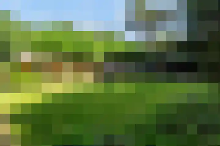 Koninginnelaan 9 Ermelo foto 3