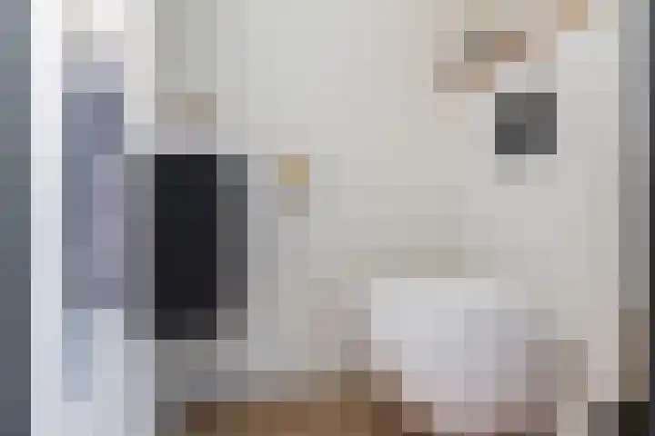 Koninginnelaan 9 Ermelo thumbnail 37