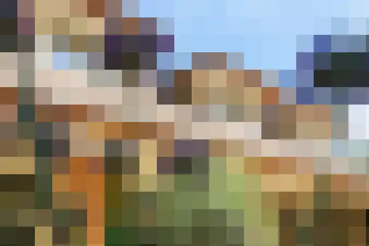 Koninginnelaan 9 Ermelo thumbnail 59