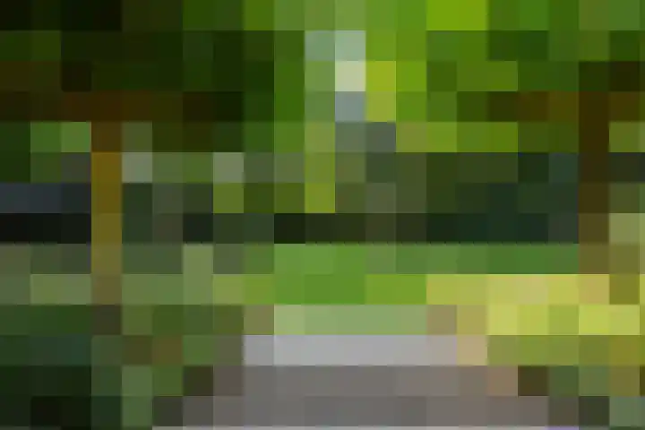 Koninginnelaan 9 Ermelo thumbnail 68