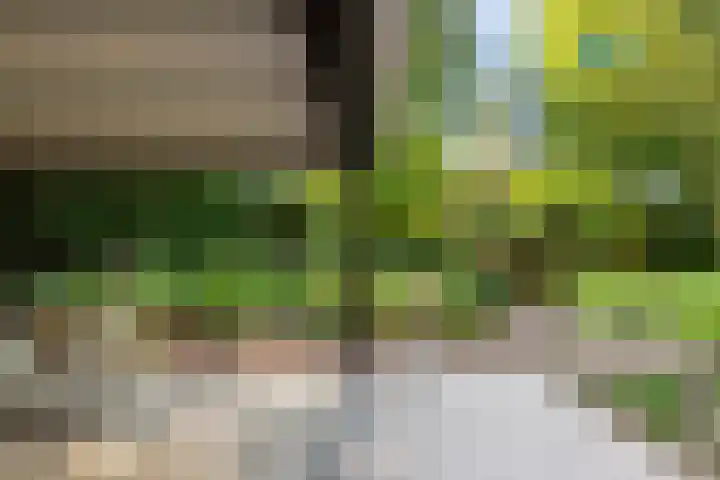 Koninginnelaan 9 Ermelo thumbnail 69