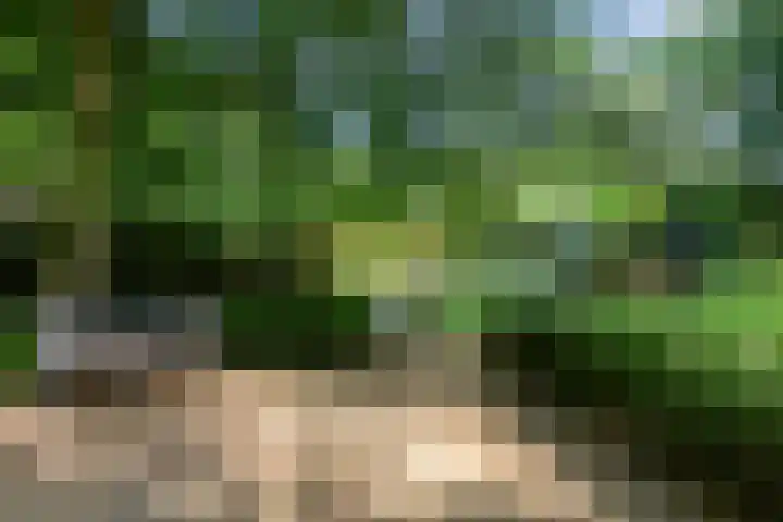 Koninginnelaan 9 Ermelo thumbnail 78