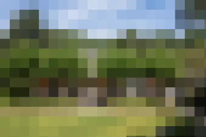Koninginnelaan 9 Ermelo thumbnail 80