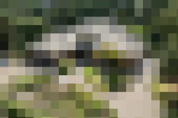 Koninginnelaan 9 Ermelo thumbnail 81