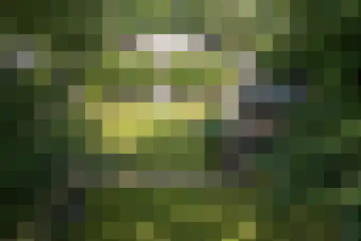 Koninginnelaan 9 Ermelo thumbnail 82