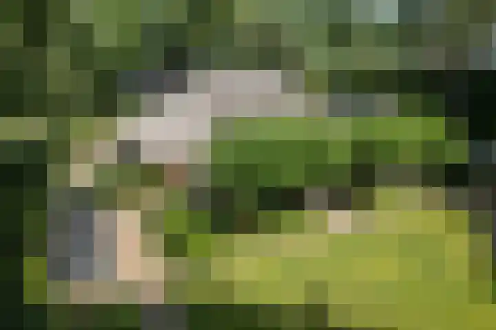 Koninginnelaan 9 Ermelo thumbnail 83