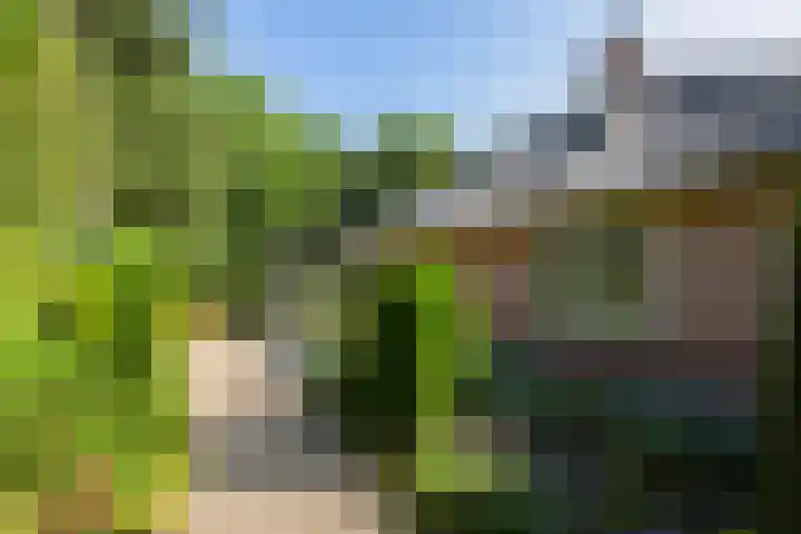 Koninginnelaan 9 Ermelo thumbnail 86