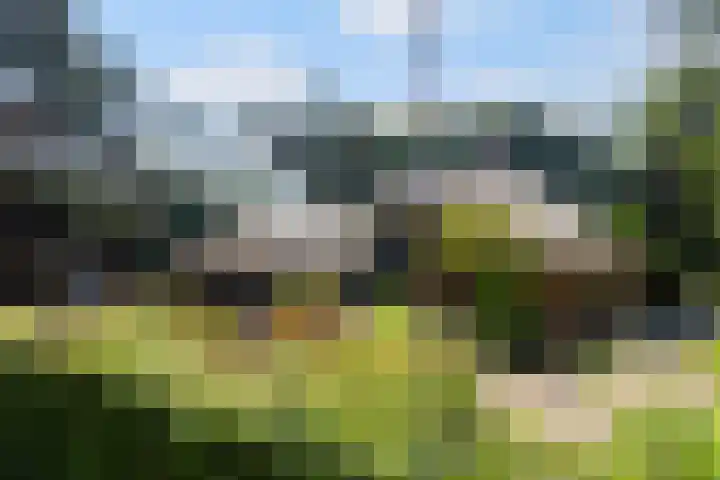 Koninginnelaan 9 Ermelo thumbnail 90