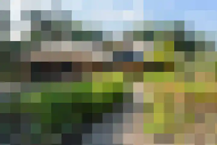 Koninginnelaan 9 Ermelo thumbnail 92