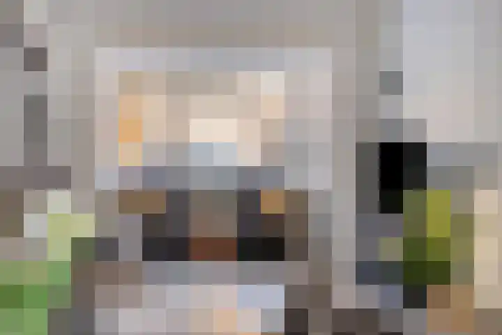 Koninginnelaan 94 Apeldoorn thumbnail 10