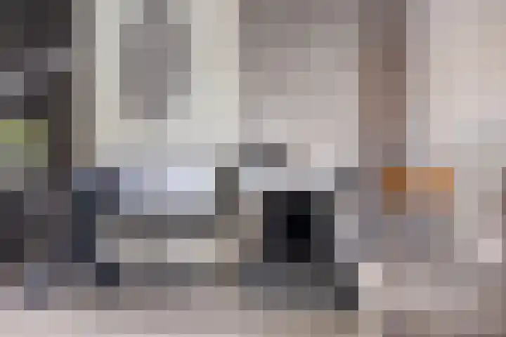Koninginnelaan 94 Apeldoorn thumbnail 11