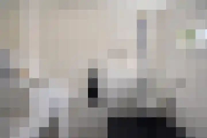 Koninginnelaan 94 Apeldoorn thumbnail 17