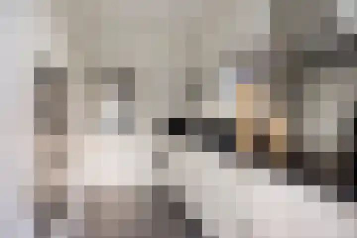 Koninginnelaan 94 Apeldoorn thumbnail 4