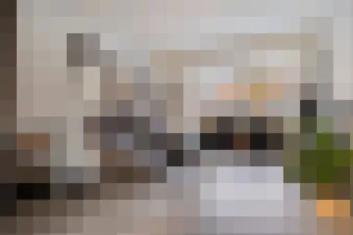 Koninginnelaan 94 Apeldoorn thumbnail 6