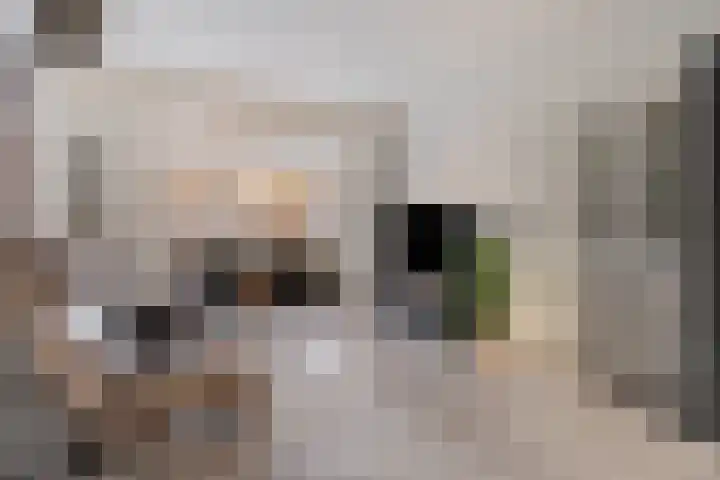 Koninginnelaan 94 Apeldoorn thumbnail 7