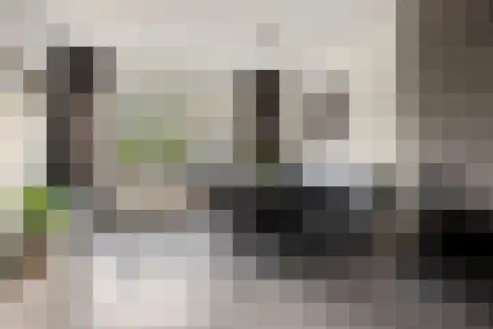 Koninginnelaan 94 Apeldoorn thumbnail 8