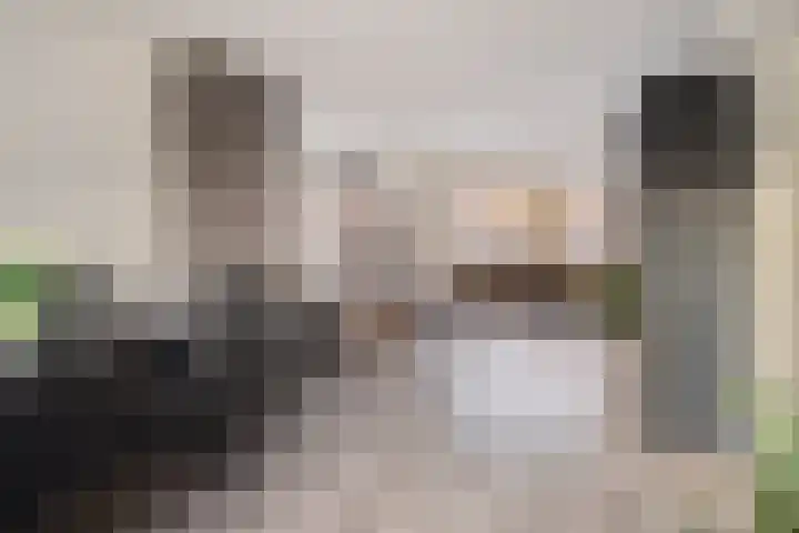 Koninginnelaan 94 Apeldoorn thumbnail 9