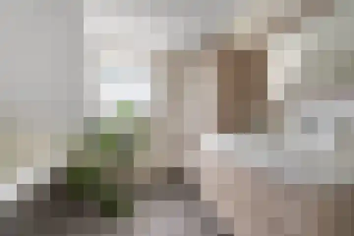 Koninginnelaan 97 Nijmegen thumbnail 29
