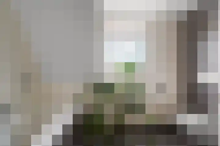 Koninginnelaan 97 Nijmegen thumbnail 31