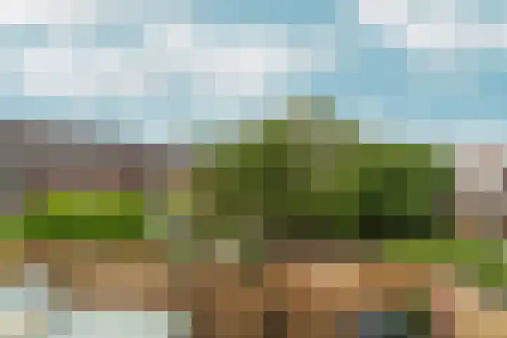 Koninginnelaan 97 Nijmegen thumbnail 35