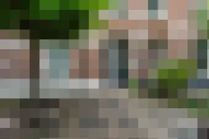 Koninginnelaan 97 Nijmegen thumbnail 39