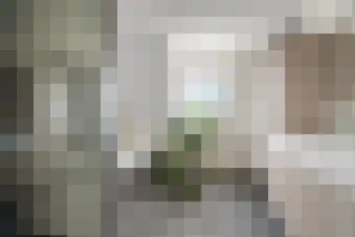 Koninginnelaan 97 Nijmegen thumbnail 5