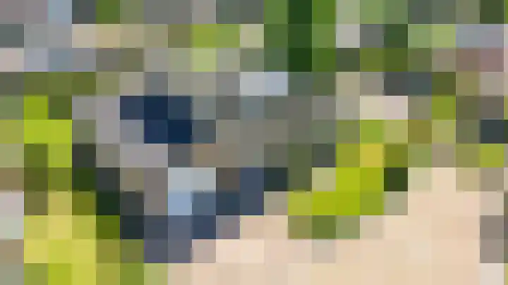 Koninginnenhof 2 in Benthuizen