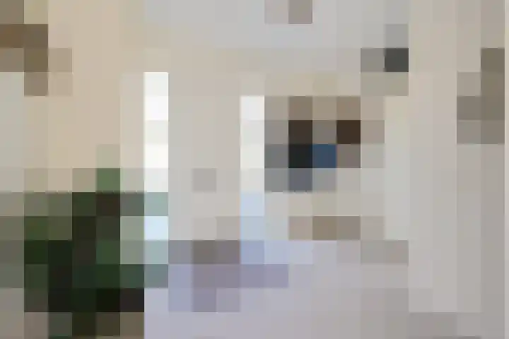 Koninginnenhof 2 Benthuizen thumbnail 13