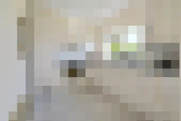 Koninginnenhof 2 Benthuizen thumbnail 21