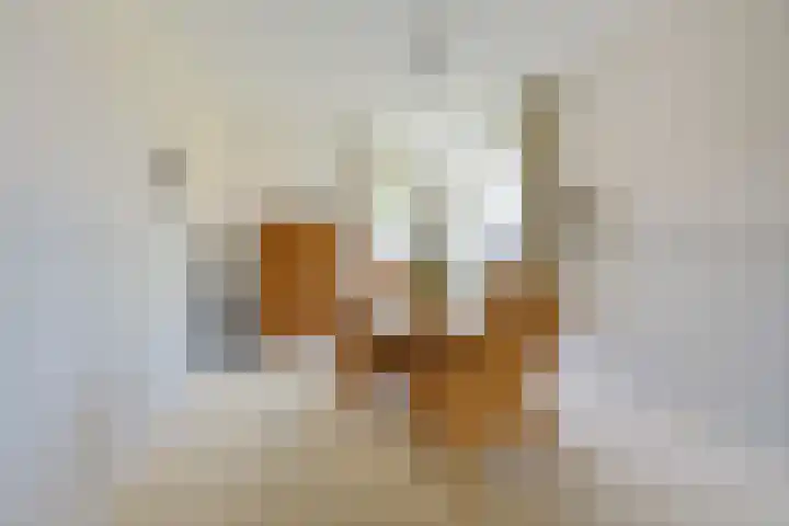 Koninginnenhof 2 Benthuizen thumbnail 26