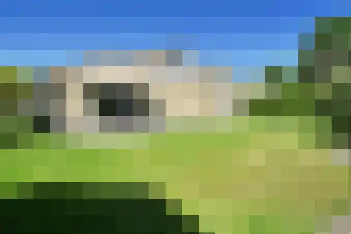 Koninginnenhof 2 Benthuizen thumbnail 30