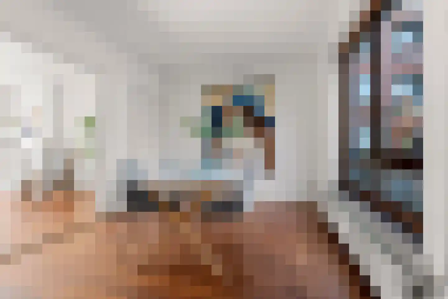 Koninginnenlaan 16 's-Hertogenbosch thumbnail 16