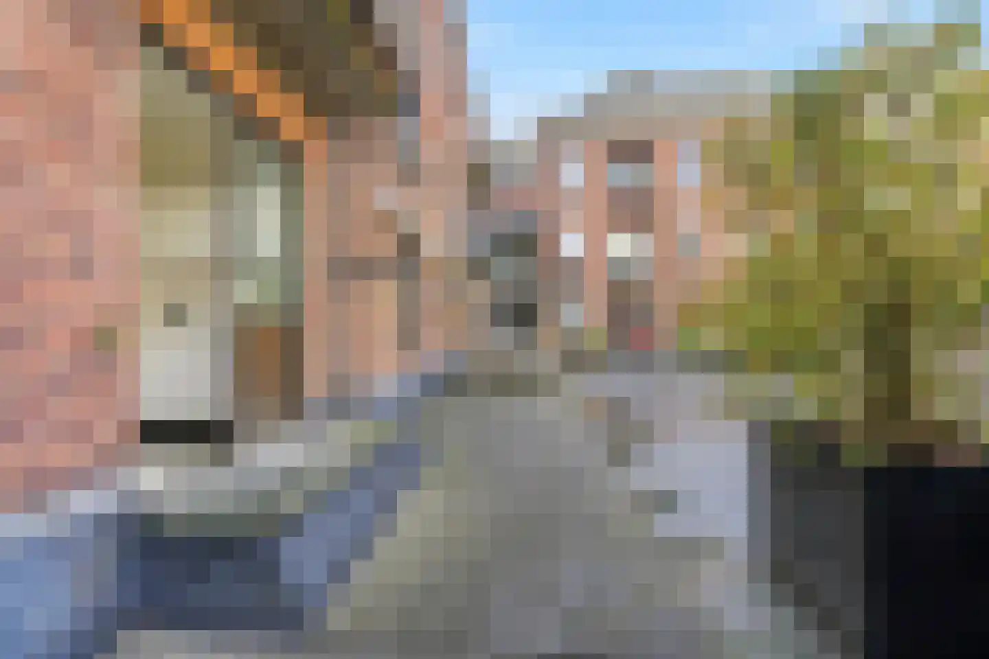 Koninginnenlaan 16 's-Hertogenbosch thumbnail 34