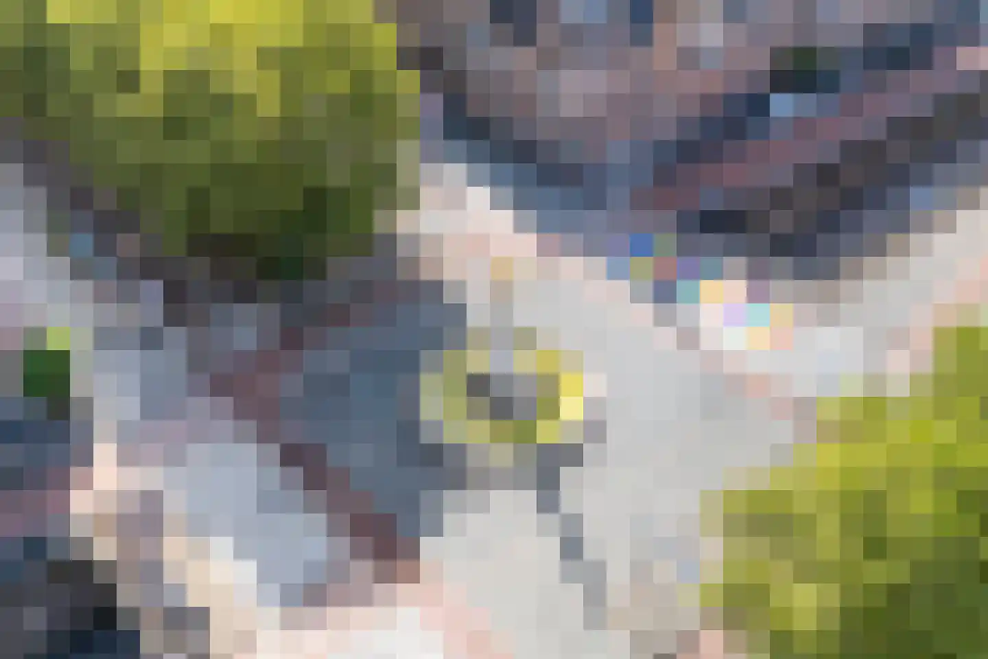Koninginnenlaan 16 's-Hertogenbosch thumbnail 37