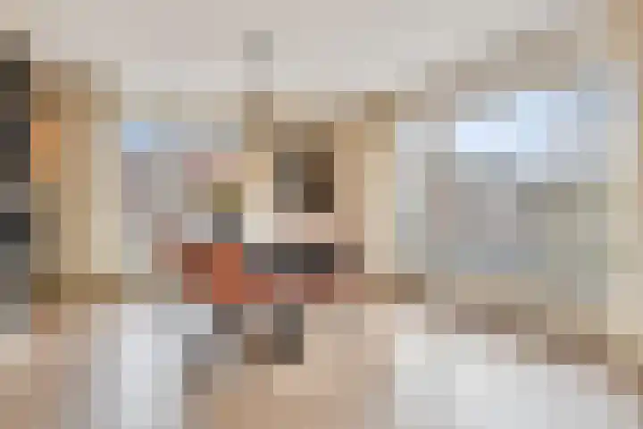 Koninginnenlaan 2 's-Hertogenbosch thumbnail 10