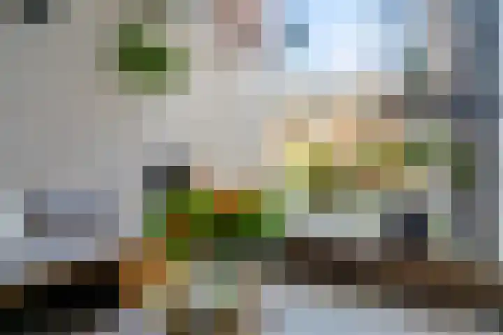 Koninginnenlaan 2 's-Hertogenbosch thumbnail 20